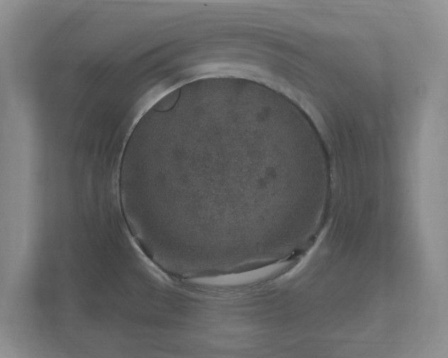 X0000112391529200908201532