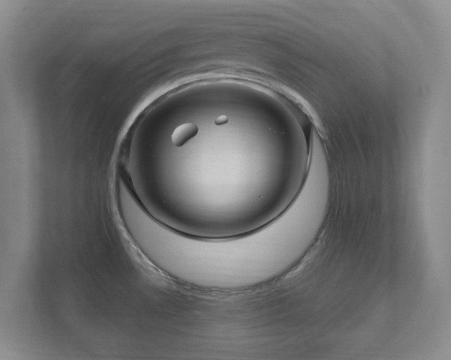 X0000112391530200908201532