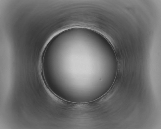 X0000112391531200908201532