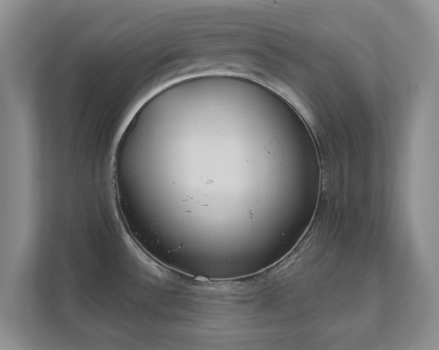 X0000112391532200908201532