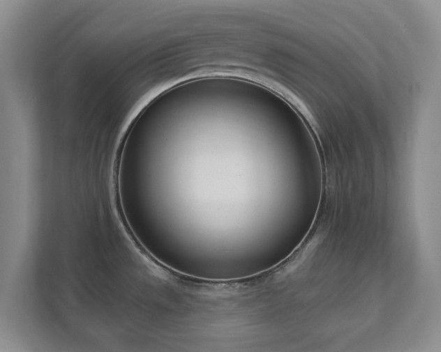 X0000112391533200908201532