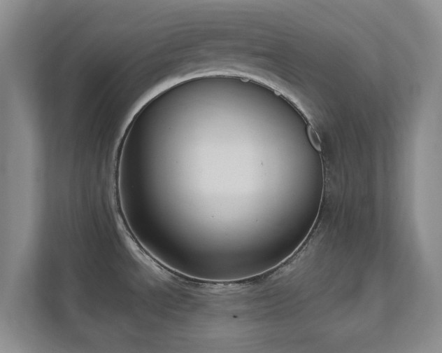 X0000112391534200908201532