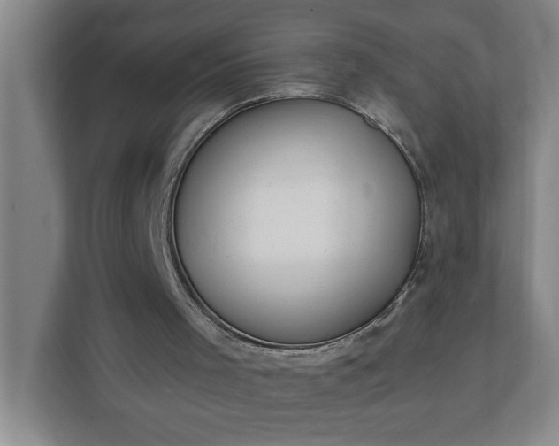 X0000112390001200908271349