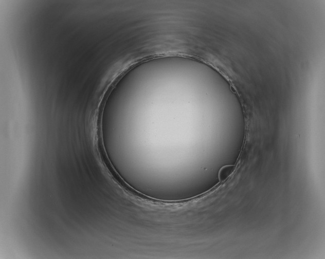 X0000112390002200908271349