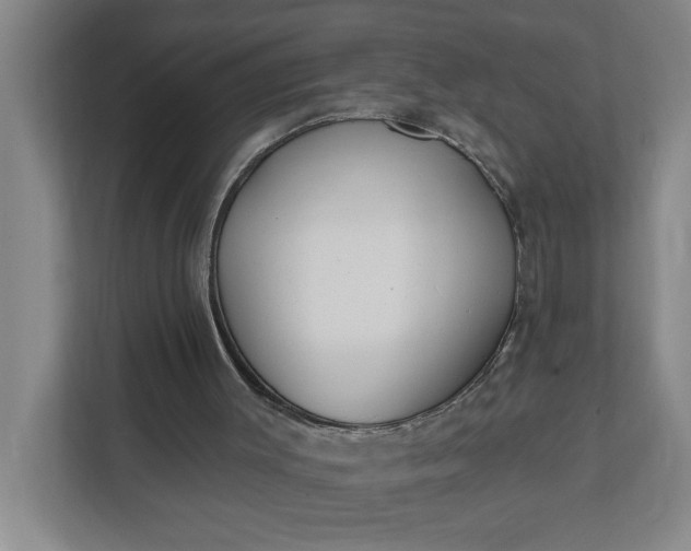 X0000112390003200908271349