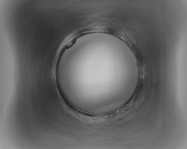 X0000112390004200908271349