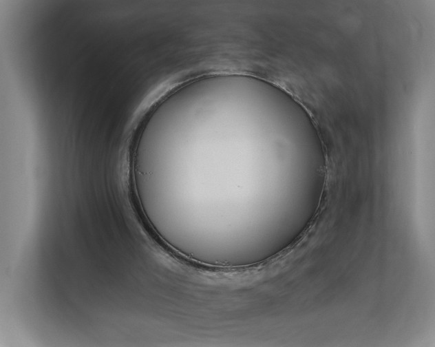 X0000112390005200908271349