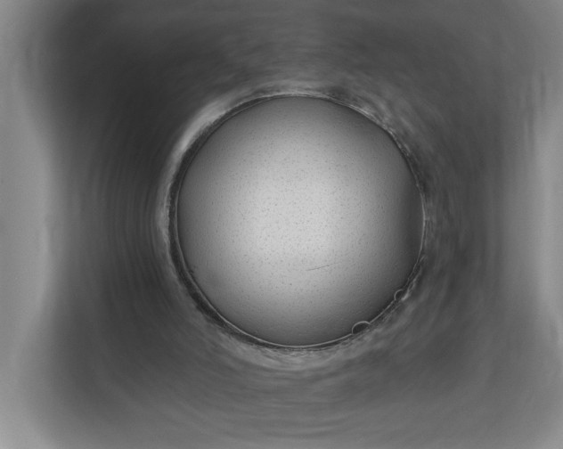 X0000112390006200908271349