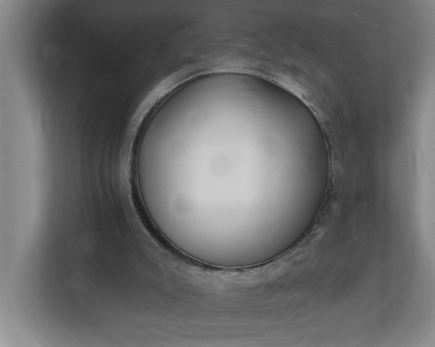 X0000112390007200908271349