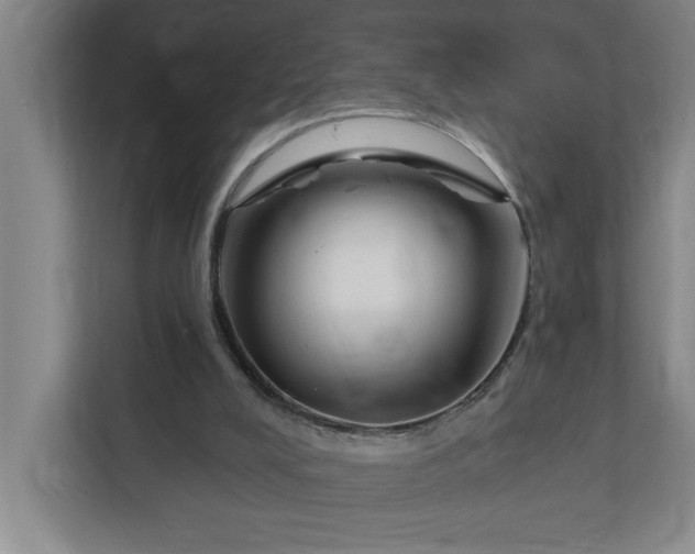 X0000112390008200908271349