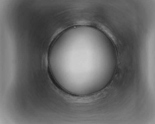 X0000112390011200908271349