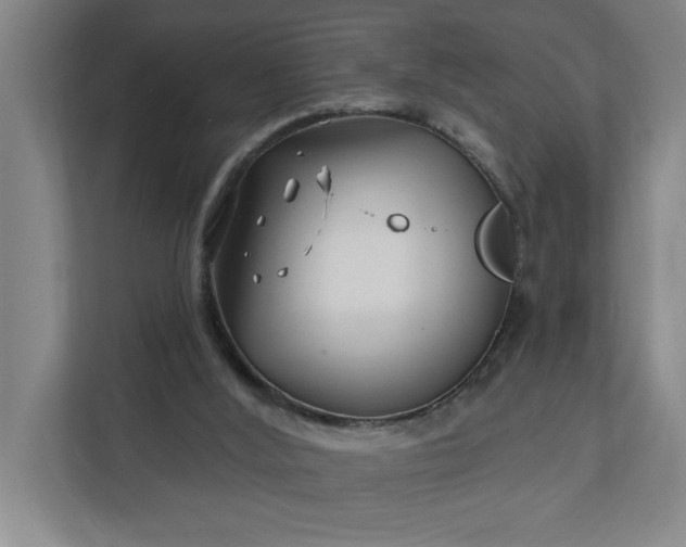 X0000112390012200908271349