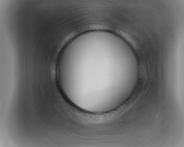 X0000112390015200908271349