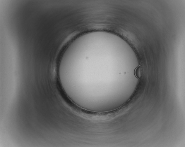 X0000112390016200908271349