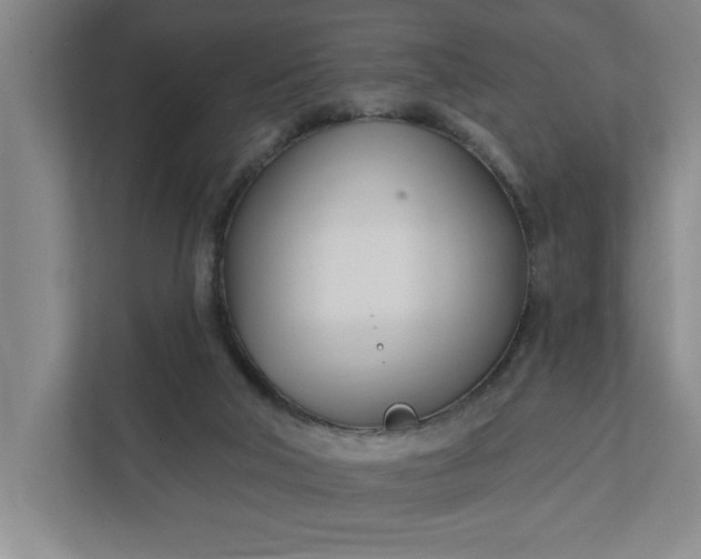 X0000112390018200908271349