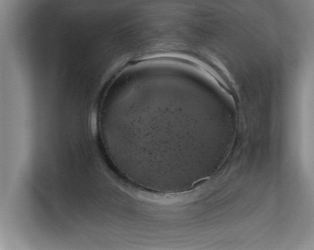 X0000112390019200908271349