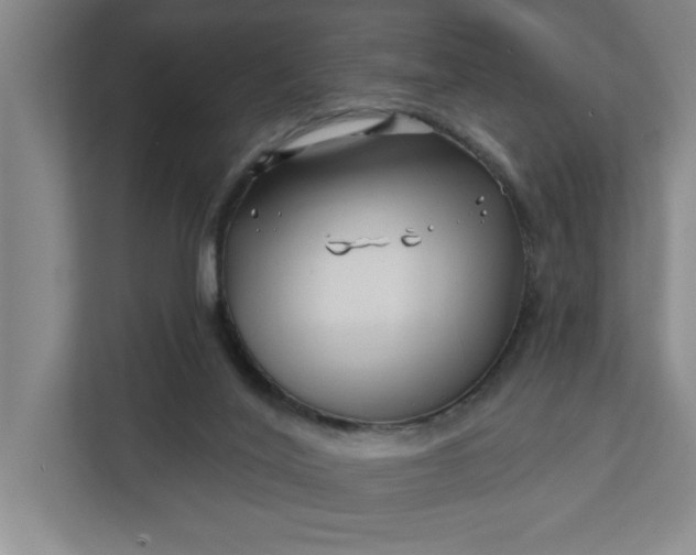 X0000112390020200908271349