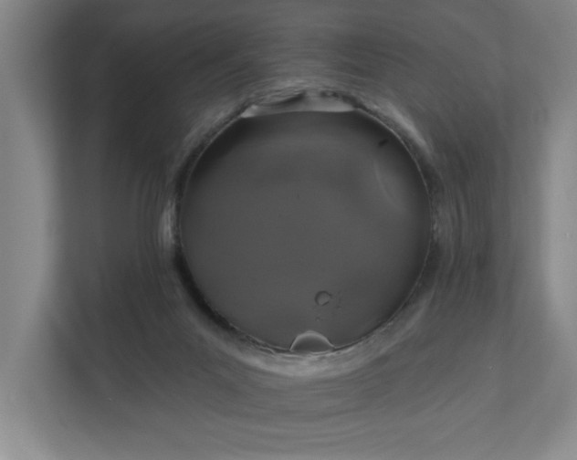 X0000112390023200908271349