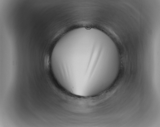 X0000112390024200908271349