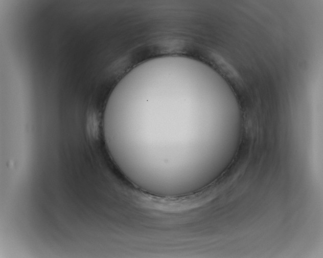 X0000112390026200908271349