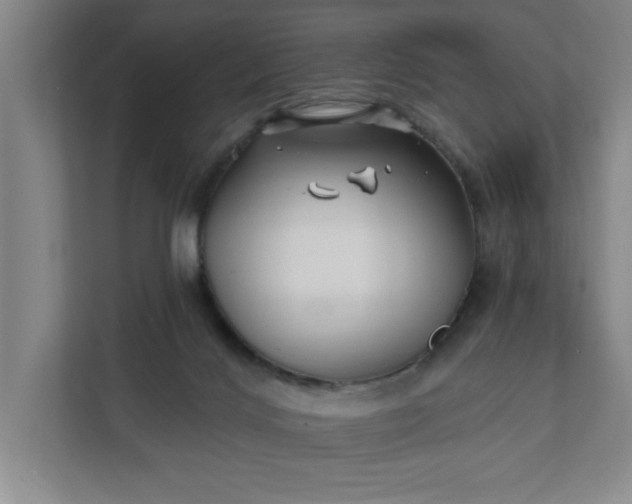 X0000112390028200908271349