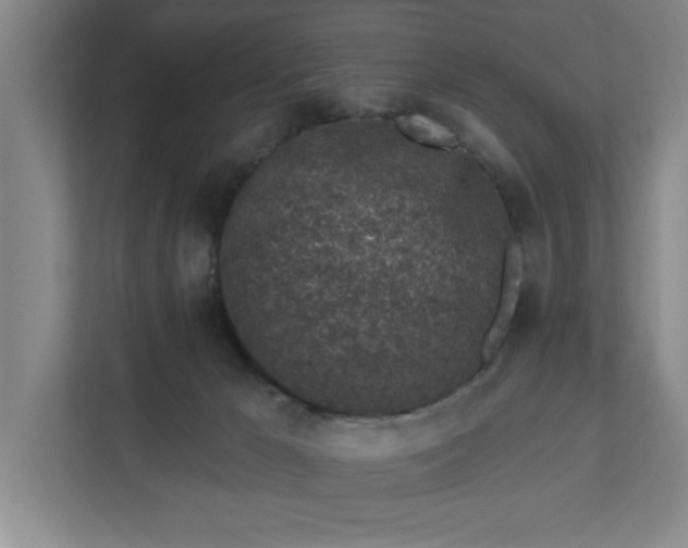 X0000112390029200908271349