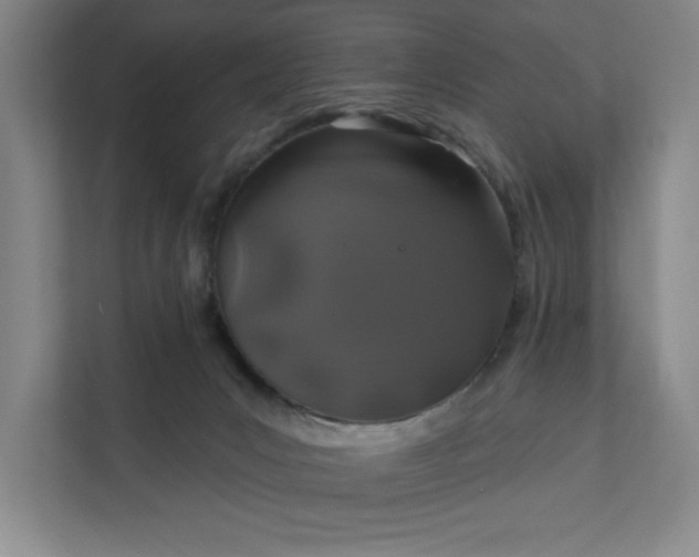 X0000112390031200908271349