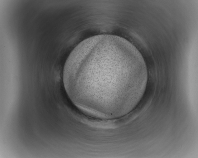 X0000112390032200908271349