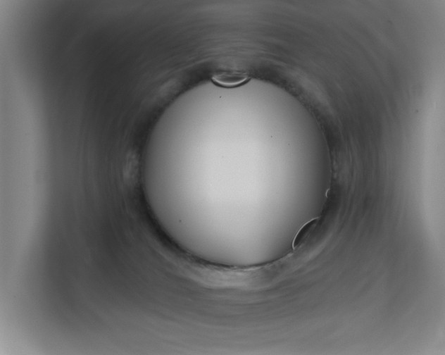 X0000112390036200908271349