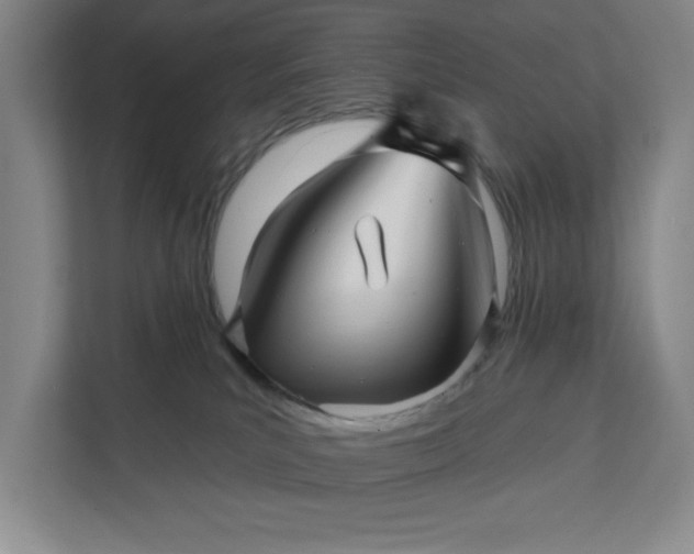 X0000112390039200908271349