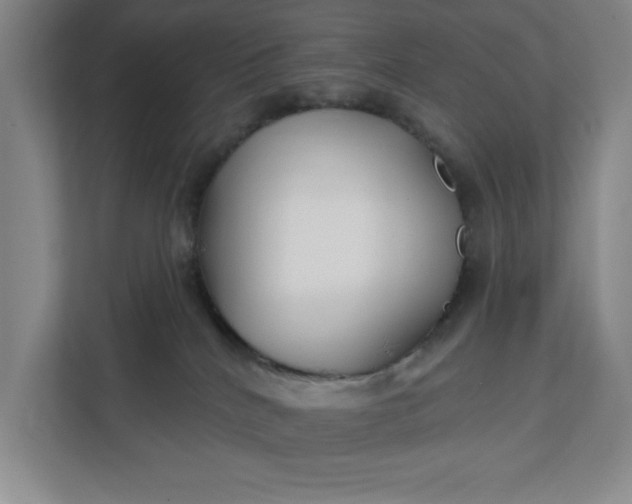 X0000112390040200908271348