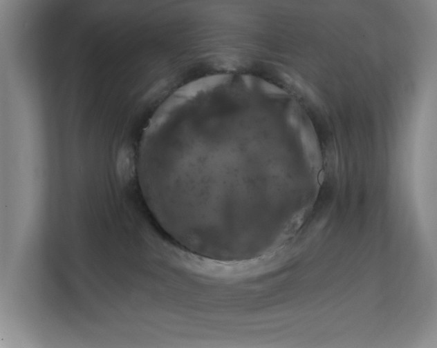 X0000112390043200908271348