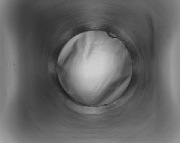 X0000112390044200908271348