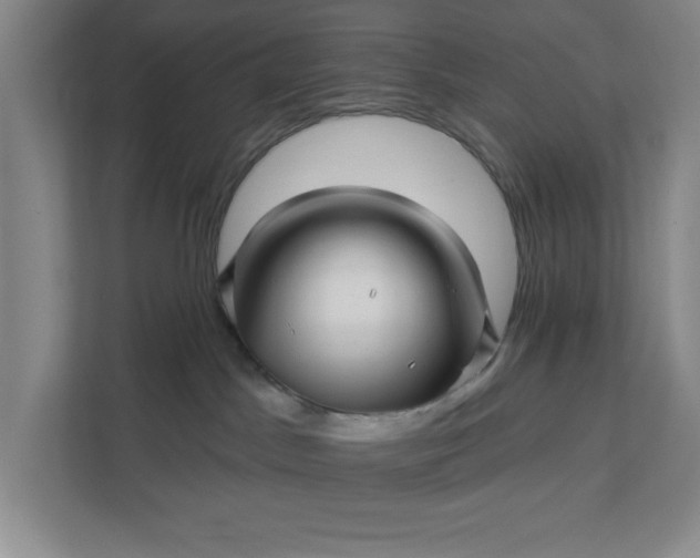 X0000112390045200908271348