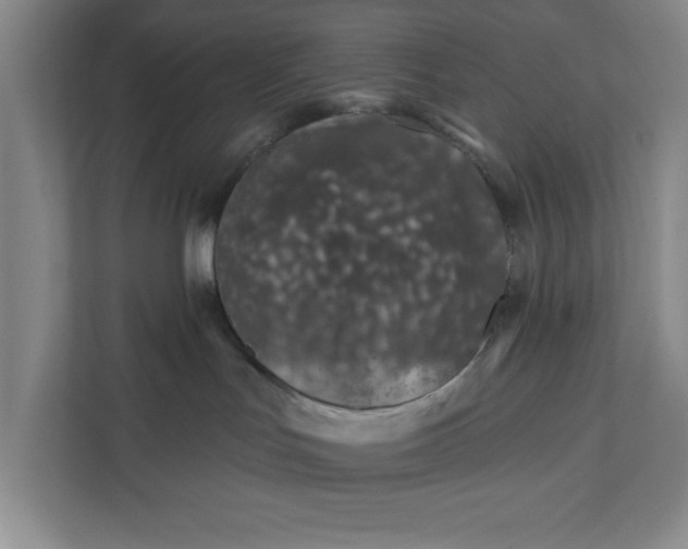 X0000112390047200908271348