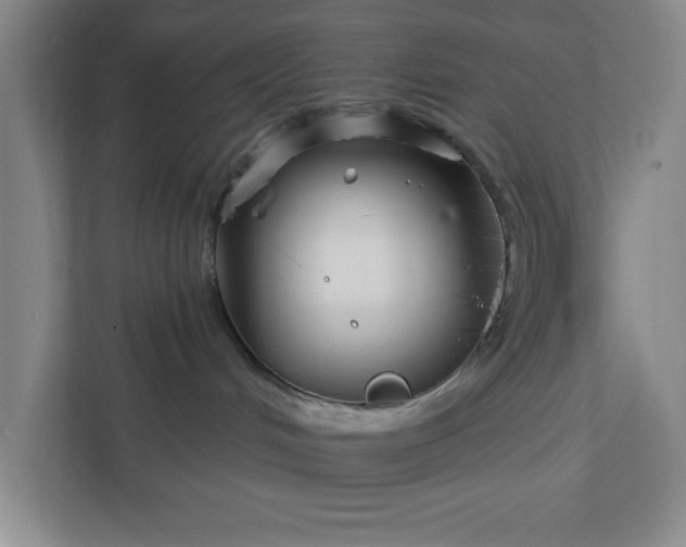 X0000112390048200908271348