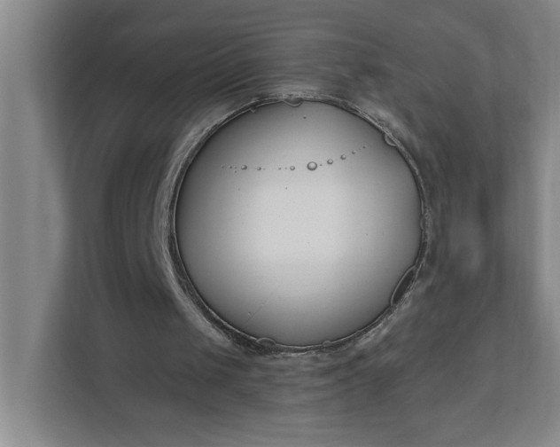 X0000112390049200908271348