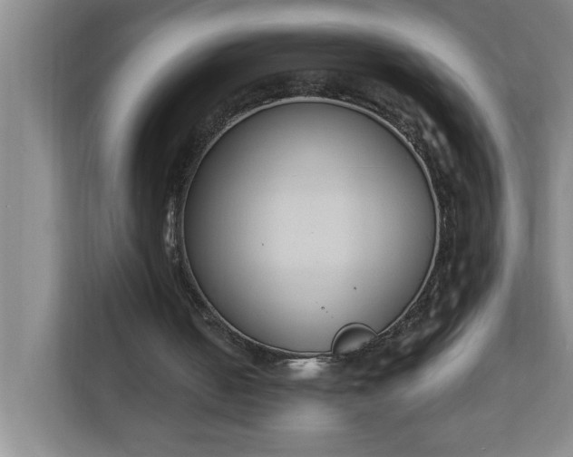 X0000112390050200908271348