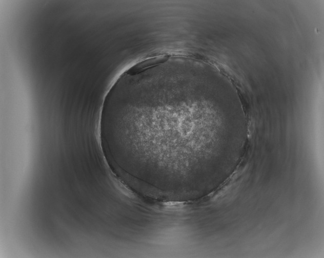 X0000112390052200908271348