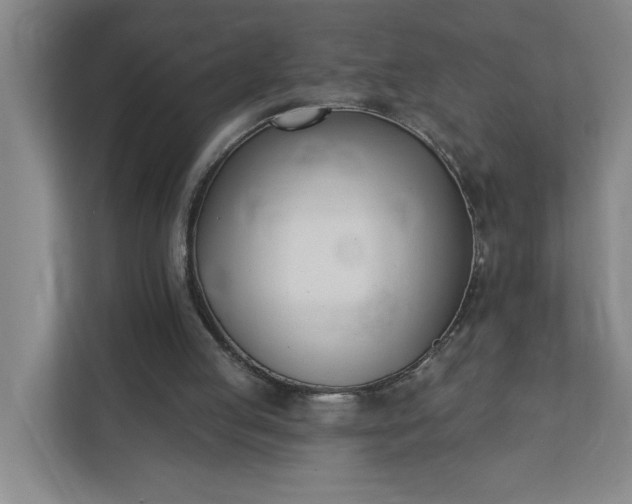 X0000112390053200908271348