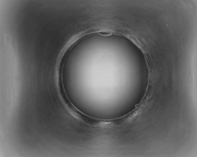 X0000112390055200908271348