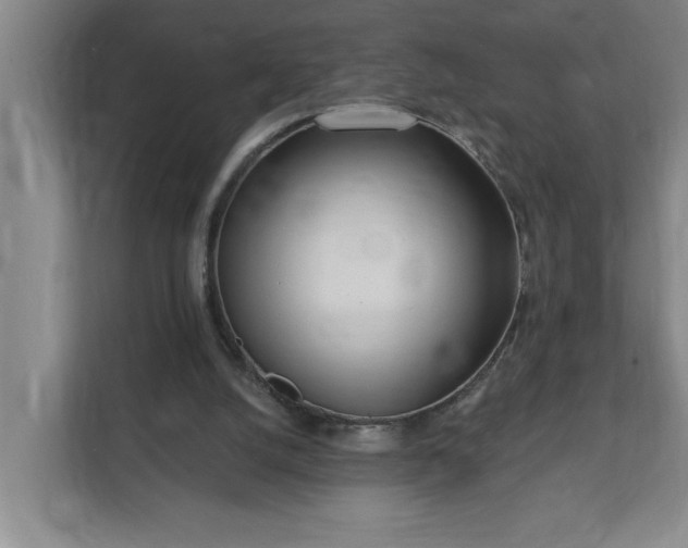 X0000112390056200908271348