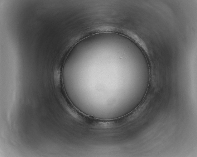 X0000112390057200908271348