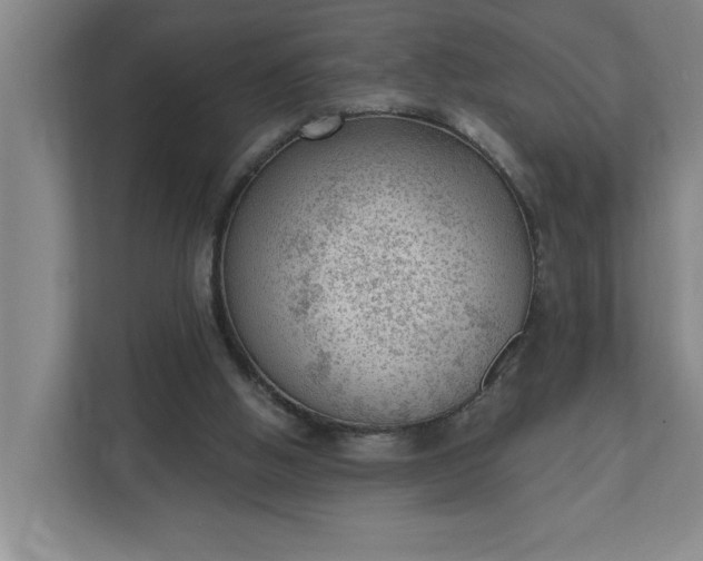 X0000112390058200908271348