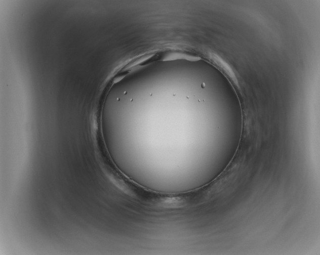 X0000112390059200908271348