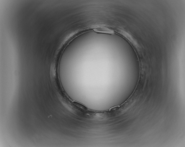 X0000112390060200908271348