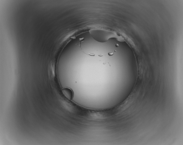 X0000112390062200908271348