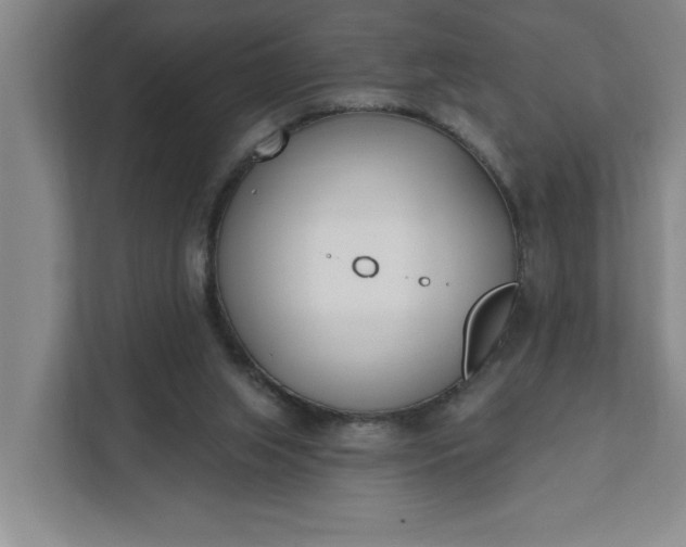 X0000112390063200908271348