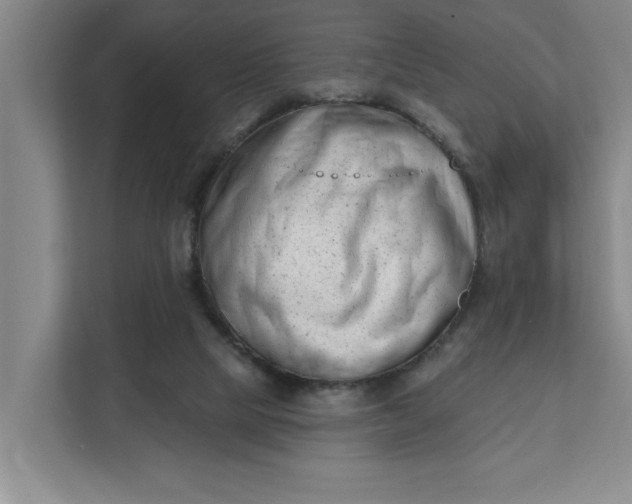 X0000112390065200908271348