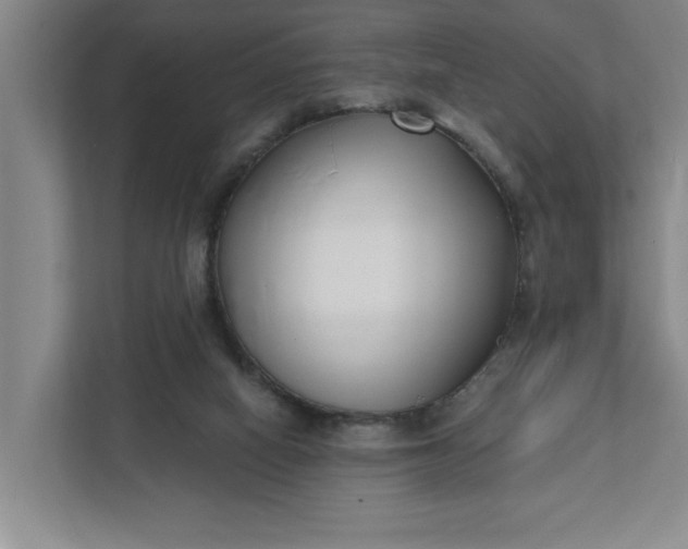 X0000112390066200908271348